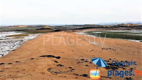 Plage à Lanmodez en Bretagne avec des ilots